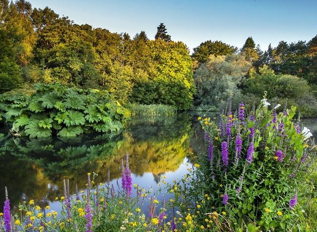 John F. Kennedy Arboretum